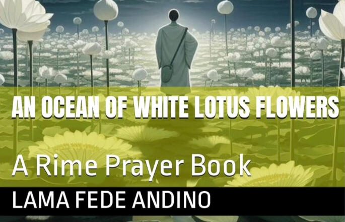 An Ocean of White Lotus Flowers